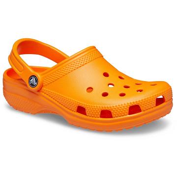 Crocs Classic Clog Cipők Férfi Narancssárga | HU 0680RVDW